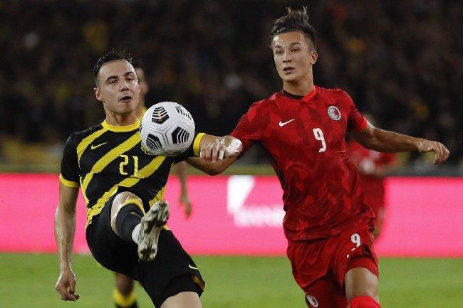轻佻寡妇在线观看