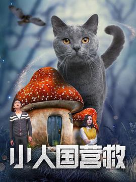 玄女心经在线播放免费视频