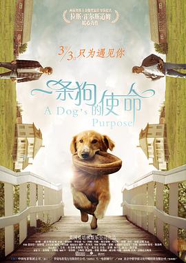 国产精品综合
