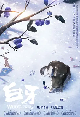 91一区二区视频