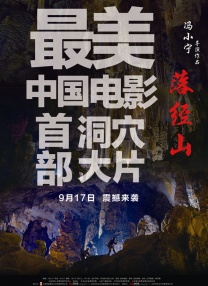 一级一级一片免费高清