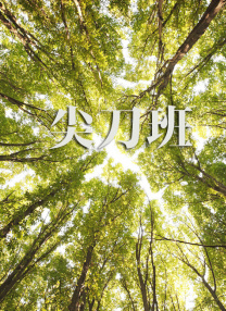 久久午夜一区二区