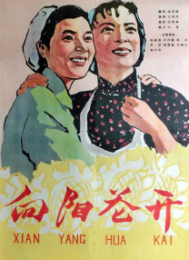 孕妇孕交