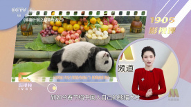 福瑞网站